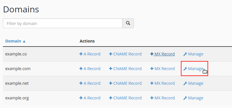 Choose name for DNS change